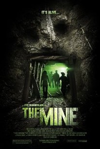 Apleista kasykla / Abandoned Mine / The Mine (2012) online